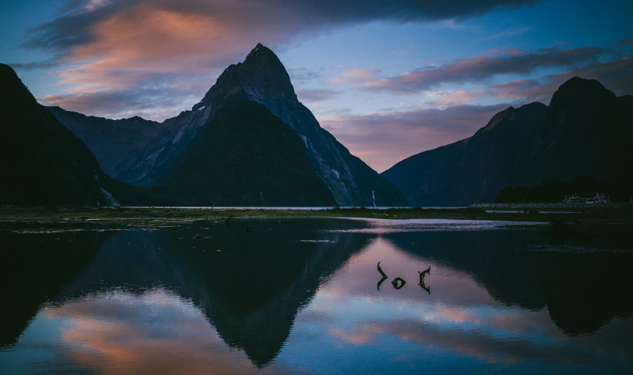 activedocs cs milford sound